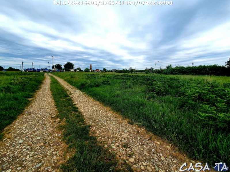 Teren (1098 mp), situat în Târgu Jiu, Str.Margaritarului