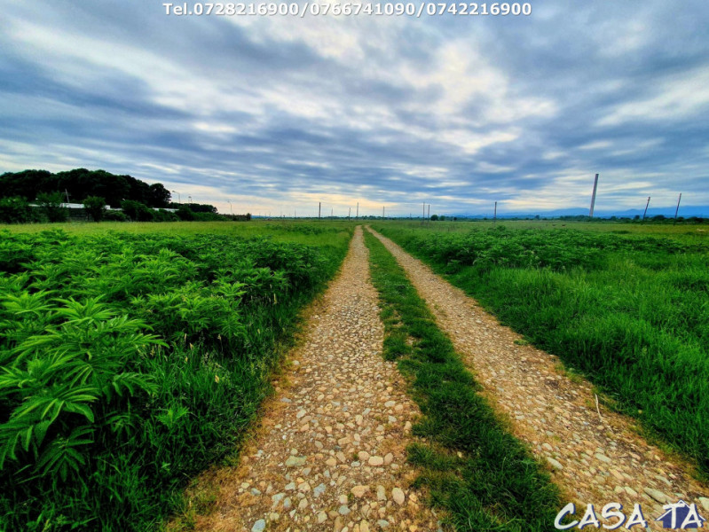 Teren (1098 mp), situat în Târgu Jiu, Str.Margaritarului