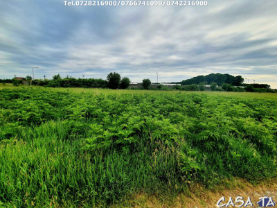 Teren (1098 mp), situat în Târgu Jiu, Str.Margaritarului