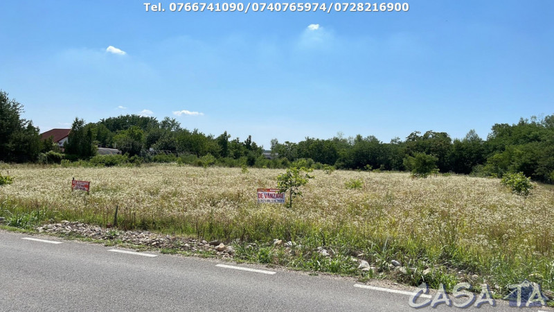 Teren Intravilan (1431 mp), Runcu 