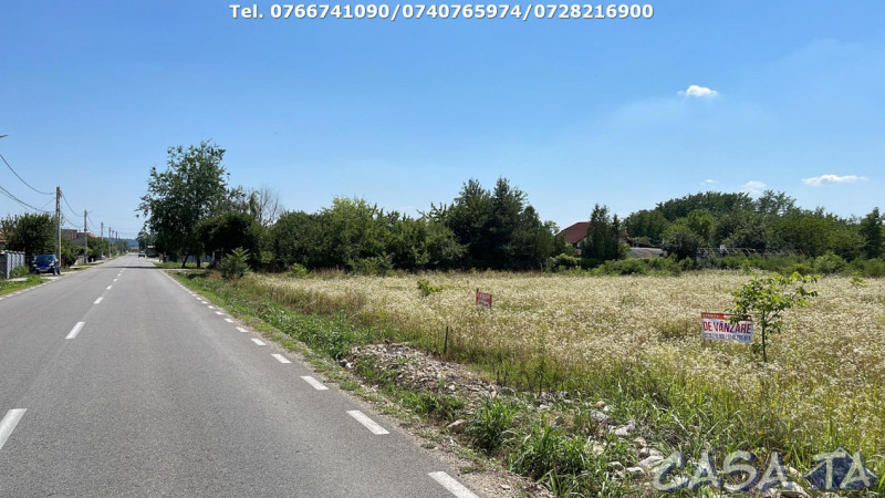 Teren Intravilan (1431 mp), Runcu 