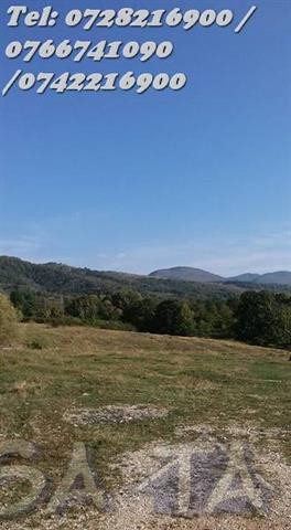 Teren Intravilan 5408 mp, Comuna Runcu - Dobrita