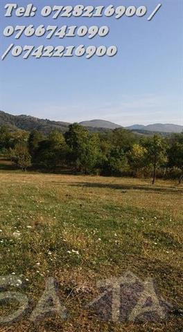 Teren Intravilan 5408 mp, Comuna Runcu - Dobrita