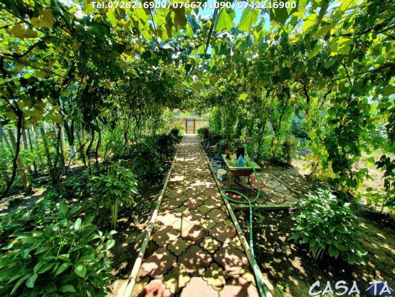 Casa situata în Târgu Jiu, Aleea Luncilor