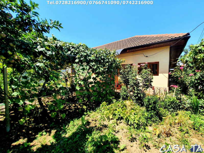 Casa situata în Târgu Jiu, Aleea Luncilor