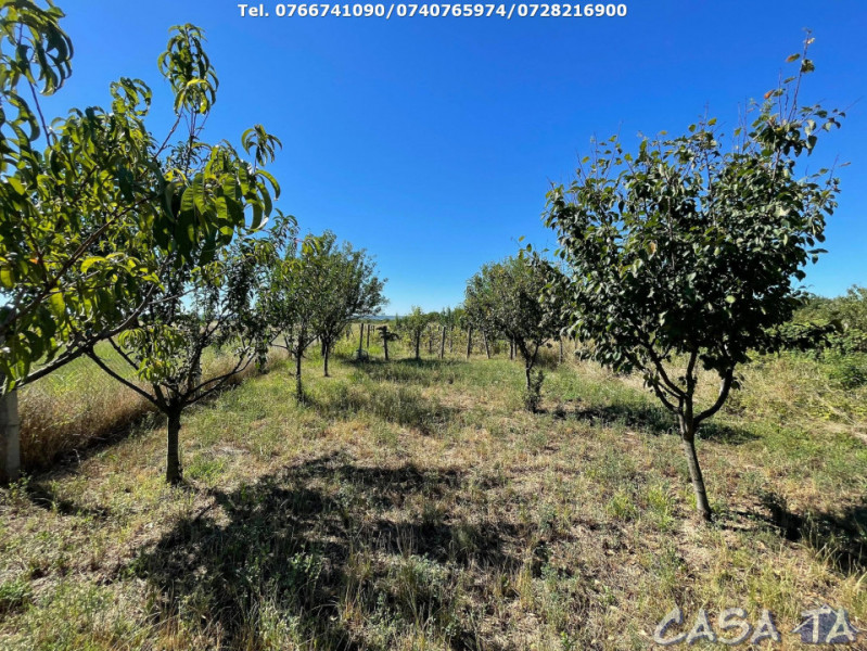 Casa 4 Camere si teren aferent (2200 mp), Strada Petresti, Targu Jiu