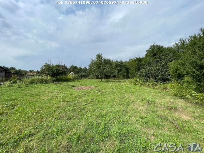 Teren Intravilan (3768 mp), Bengesti-Ciocadia