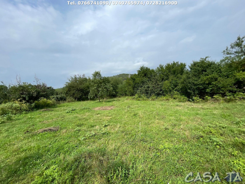 Teren Intravilan (3768 mp), Bengesti-Ciocadia