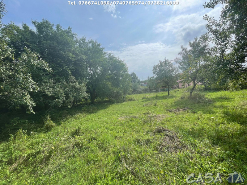 Teren Intravilan (3768 mp), Bengesti-Ciocadia