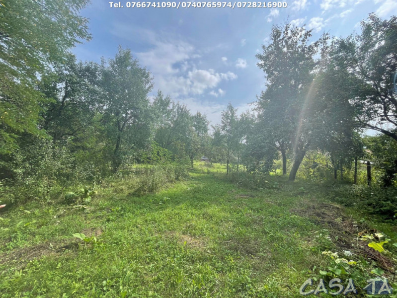 Teren Intravilan (3768 mp), Bengesti-Ciocadia