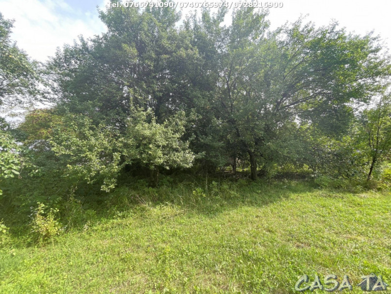 Teren Intravilan (3768 mp), Bengesti-Ciocadia