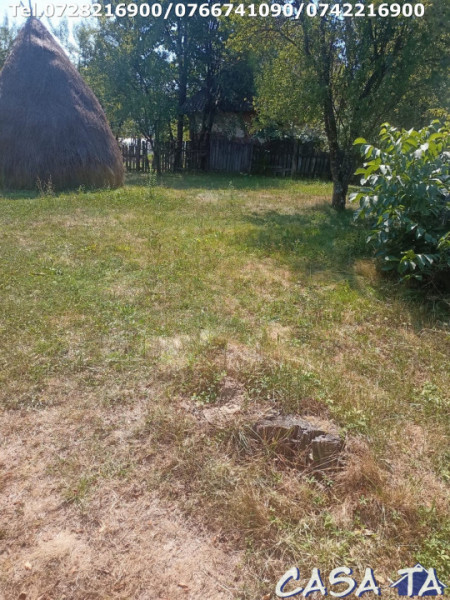  Teren Intravilan, situat în Sat Tismana (zona Gornovita)
