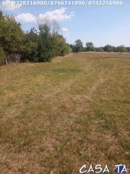  Teren Intravilan, situat în Sat Tismana (zona Gornovita)