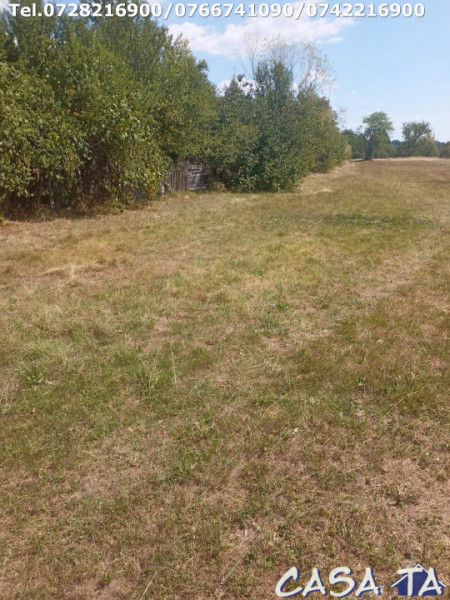  Teren Intravilan, situat în Sat Tismana (zona Gornovita)