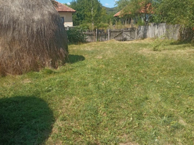  Teren Intravilan, situat în Sat Tismana (zona Gornovita)