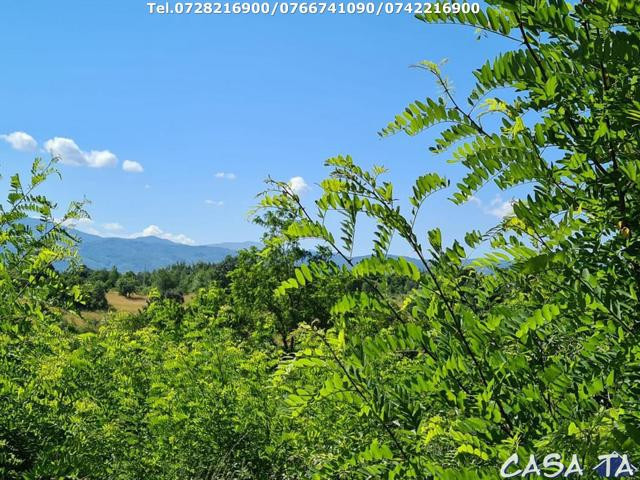 Teren Intravilan (1830 mp),situat în Bumbesti-Jiu, Loc Lazaresti