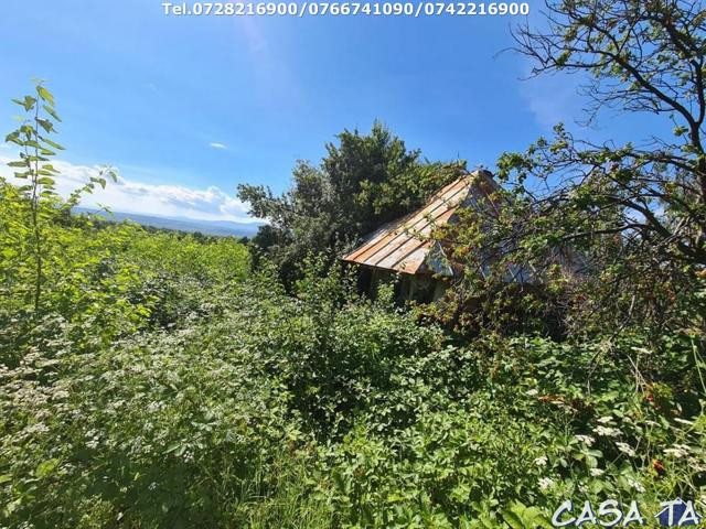 Teren Intravilan (1830 mp),situat în Bumbesti-Jiu, Loc Lazaresti