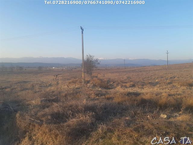 Teren Intravilan(4582 mp), situat în Târgu Jiu ,Strada Ciocârlau