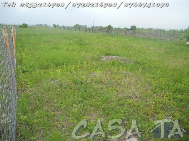 Teren (467mp), Ana Ipatescu