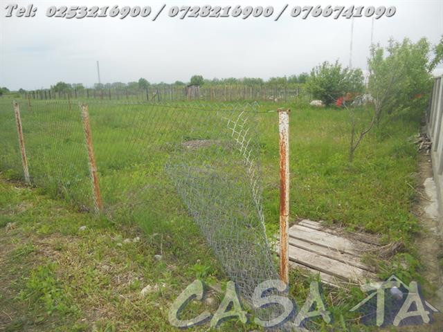 Teren (467mp), Ana Ipatescu