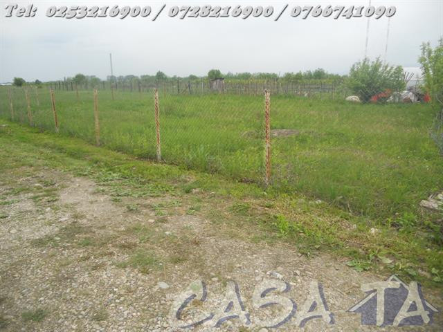 Teren (467mp), Ana Ipatescu