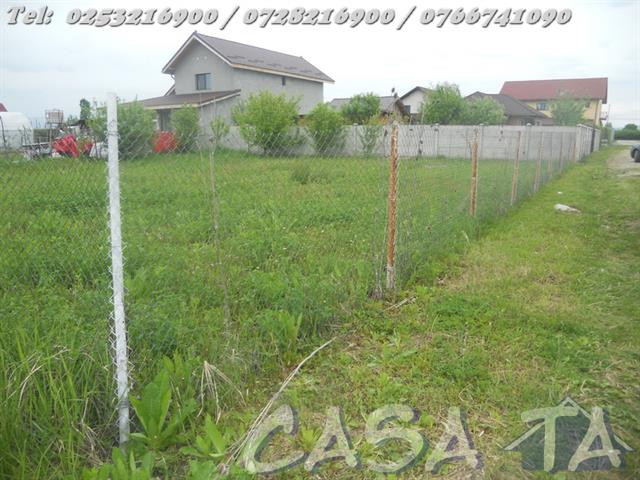 Teren (467mp), Ana Ipatescu