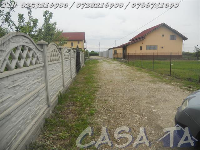 Teren (467mp), Ana Ipatescu