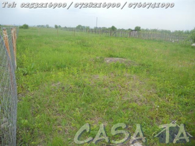 Teren (467mp), Ana Ipatescu