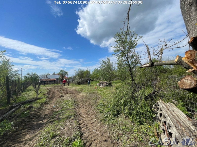 Teren Parcelabil (5000mp), Cartier Dragoieni