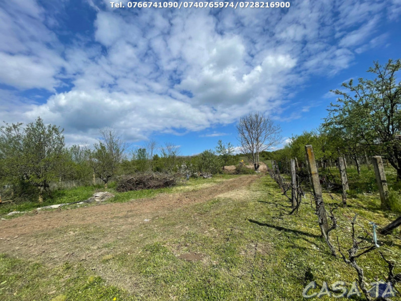 Teren Parcelabil (5000mp), Cartier Dragoieni