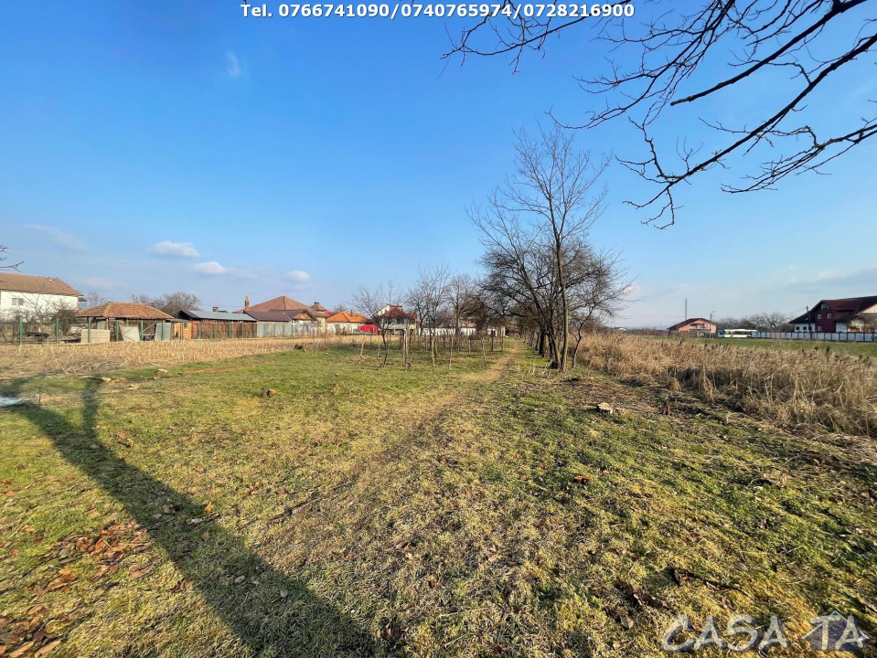 Casa +Anexe si Teren Aferent (4944mp), Slobozia