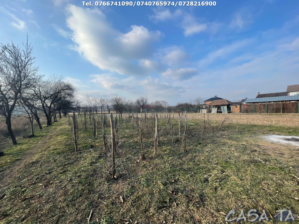 Casa +Anexe si Teren Aferent (4944mp), Slobozia