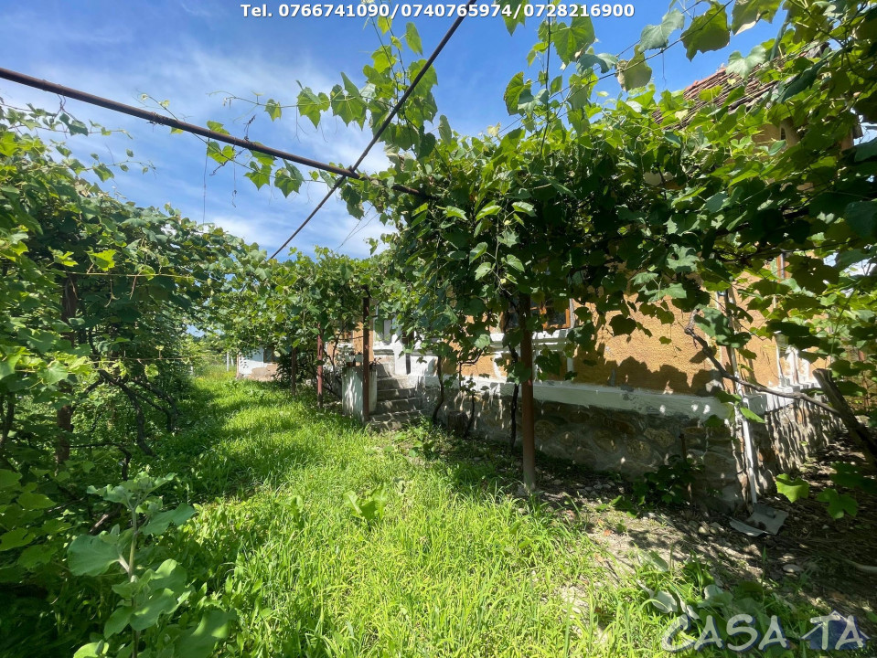 Casa 3 Camere + Teren Aferent (6000mp) si Anexa, Telesti