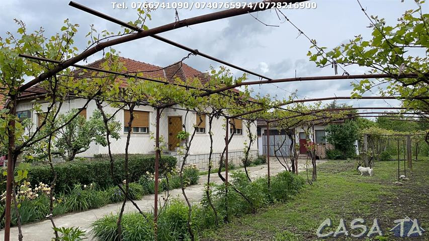 Casa 4 Camere + Teren (6500mp) si Anexe, Turcinesti