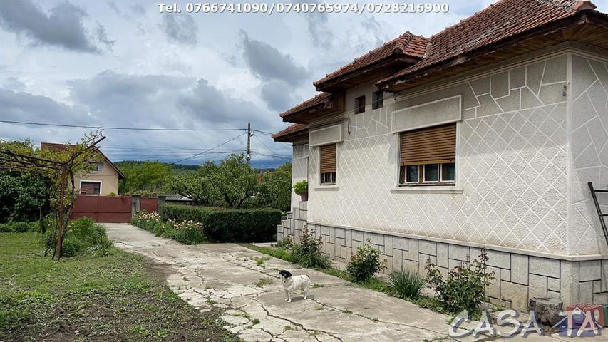 Casa 4 Camere + Teren (6500mp) si Anexe, Turcinesti