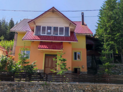 Casa de Vacanta Duplex D+P+1+M, Ranca , Novaci, Gorj