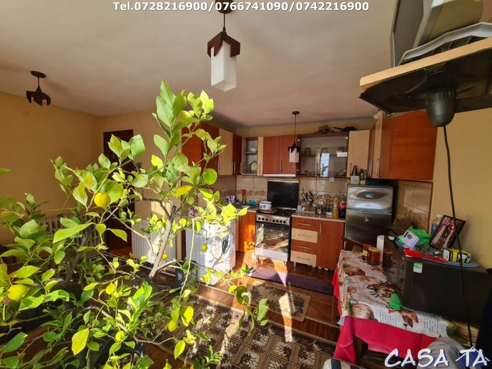  Casa D+P+1, situata în Curtisoara