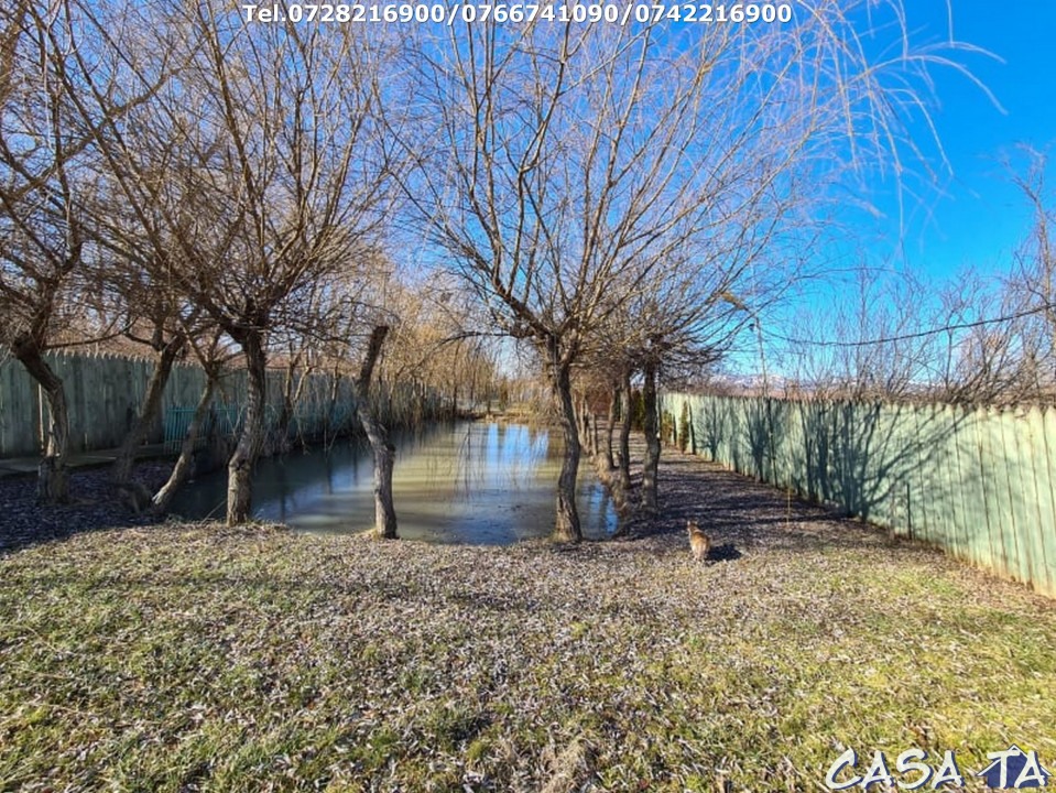  Casa D+P+1, situata în Curtisoara