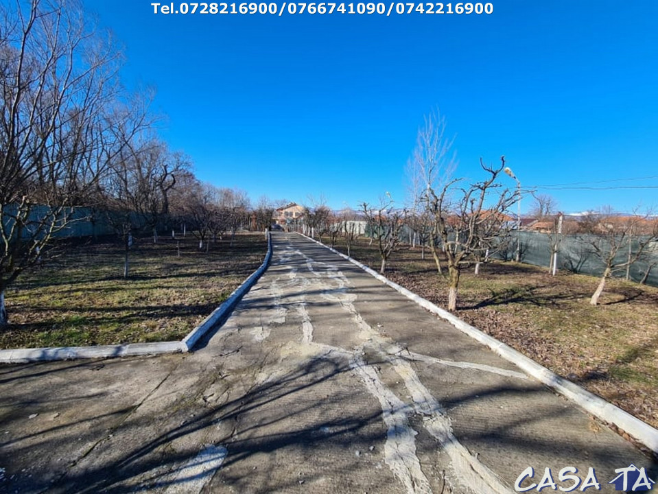  Casa D+P+1, situata în Curtisoara