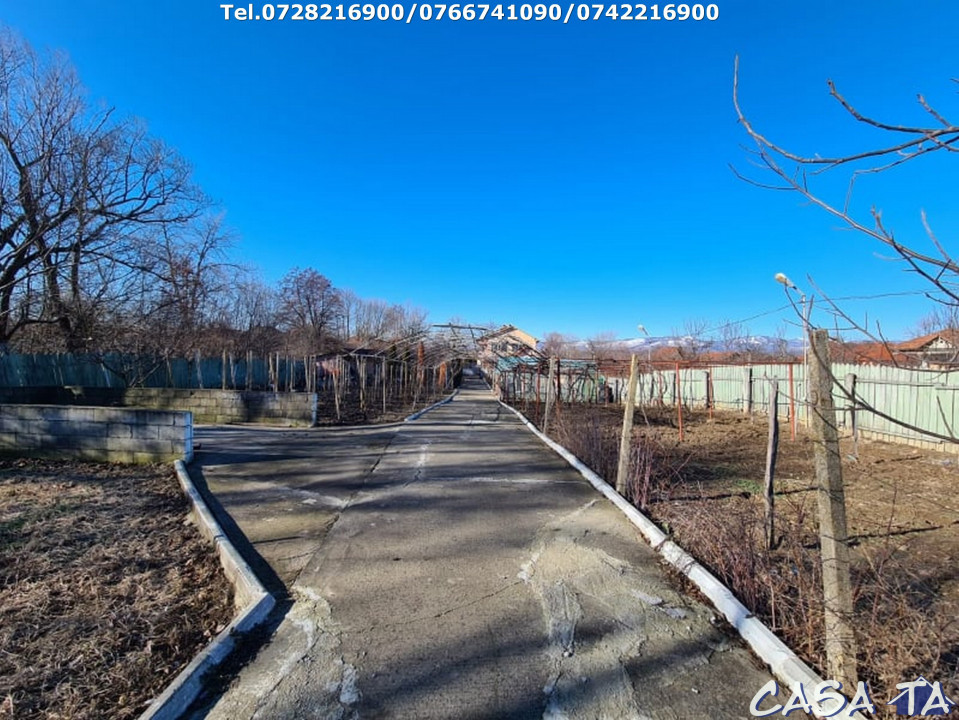  Casa D+P+1, situata în Curtisoara