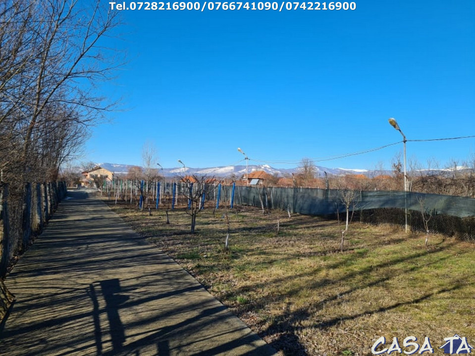  Casa D+P+1, situata în Curtisoara