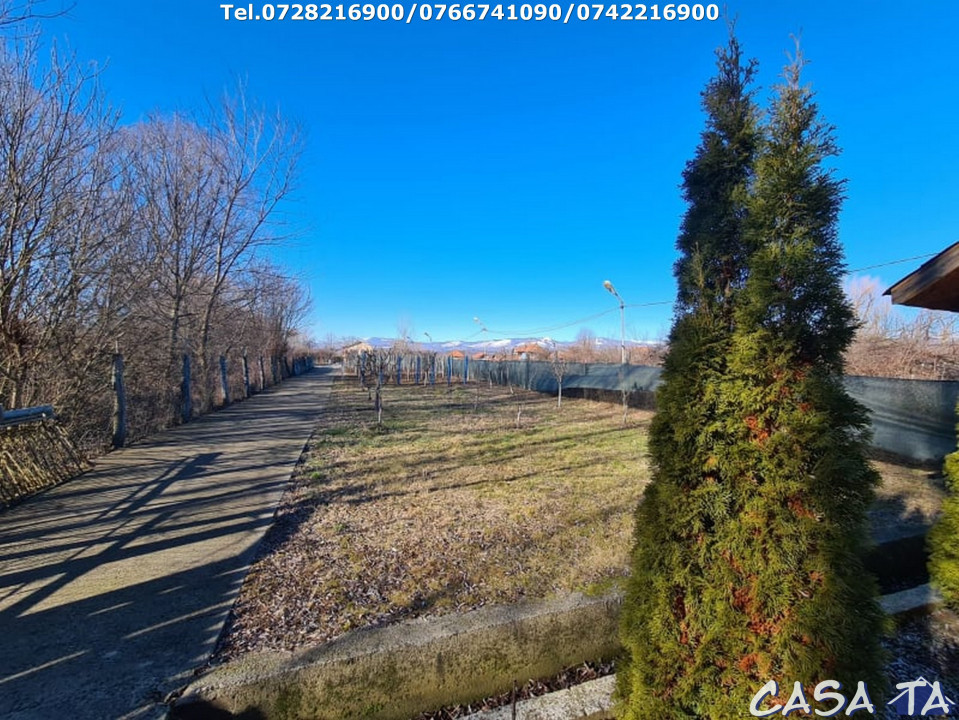  Casa D+P+1, situata în Curtisoara