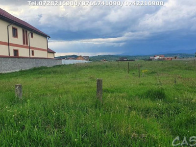 Teren Intravilan (2548 mp), situat în Târgu Jiu, Prelungirea Panduri