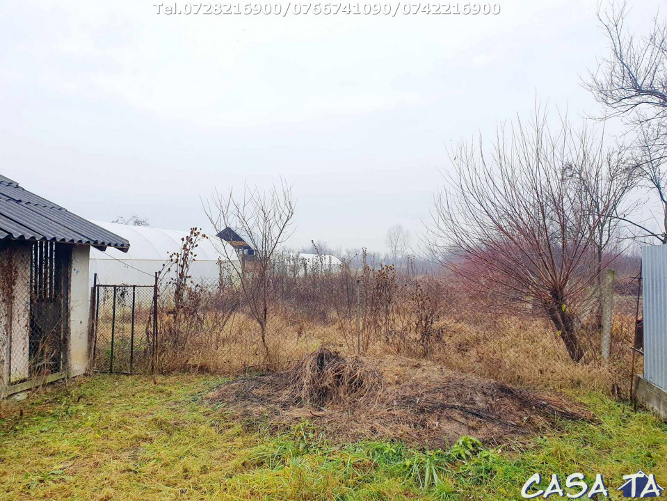 Casa P+M, situata în Balesti-Tamasesti de Jos