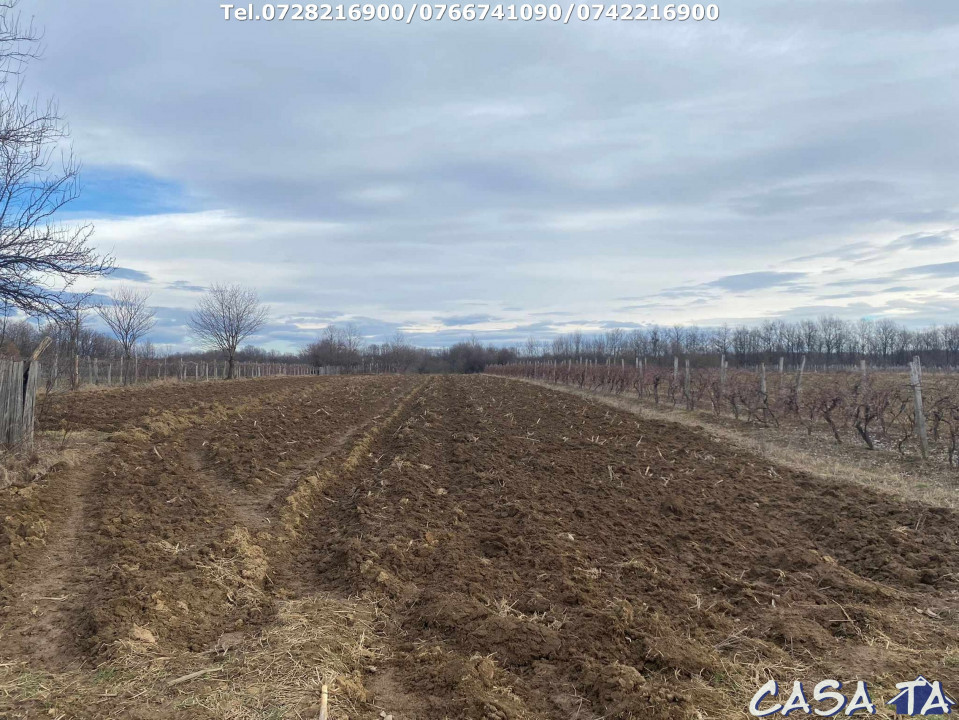 Casa situata în orasul Târgu-Carbunesti , Localitatea Floresteni