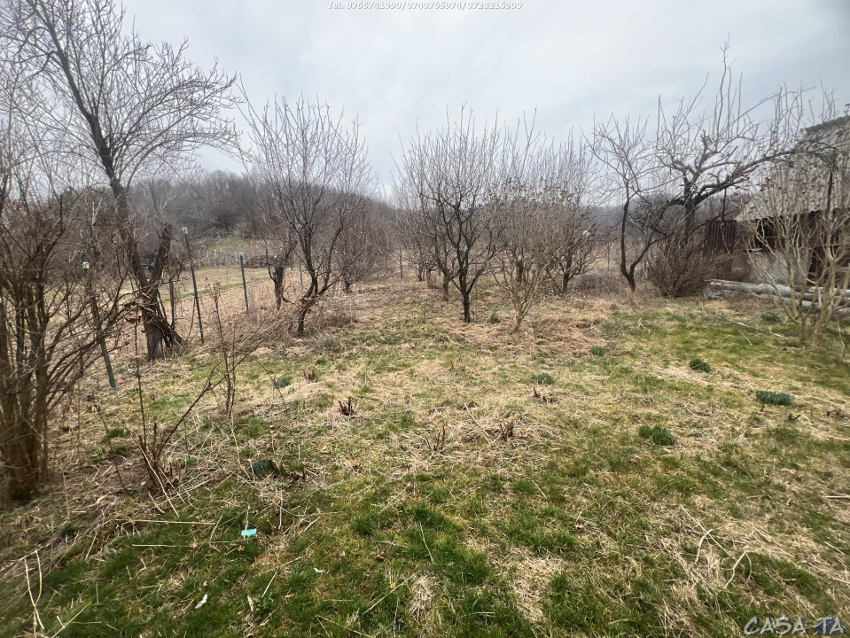 Proprietate compusa din doua Case, anexe gospodaresti, situata în Glogova, Gorj 