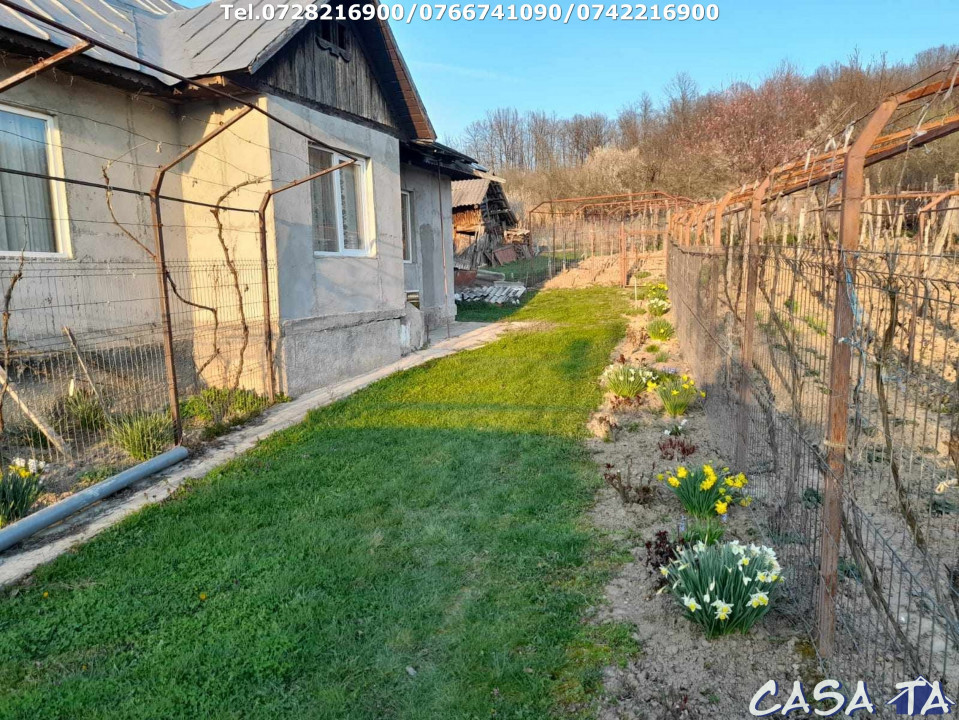 Casa 3 Camere + Teren Aferent (2394 mp) si Anexa, Jupanesti