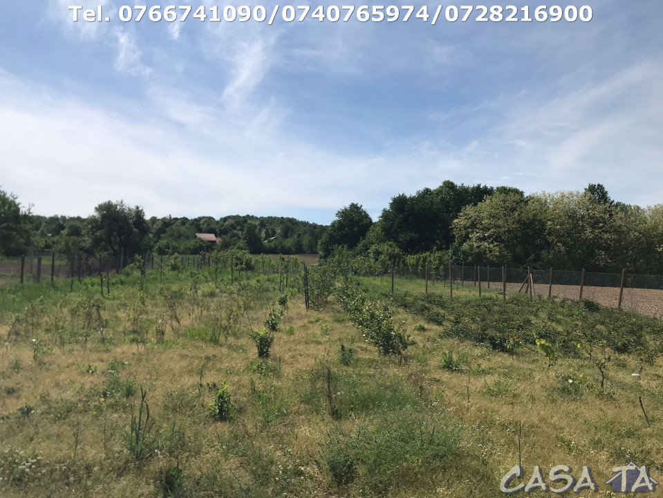 Casa 10 Caere, P+1 (la rosu), Urechesti