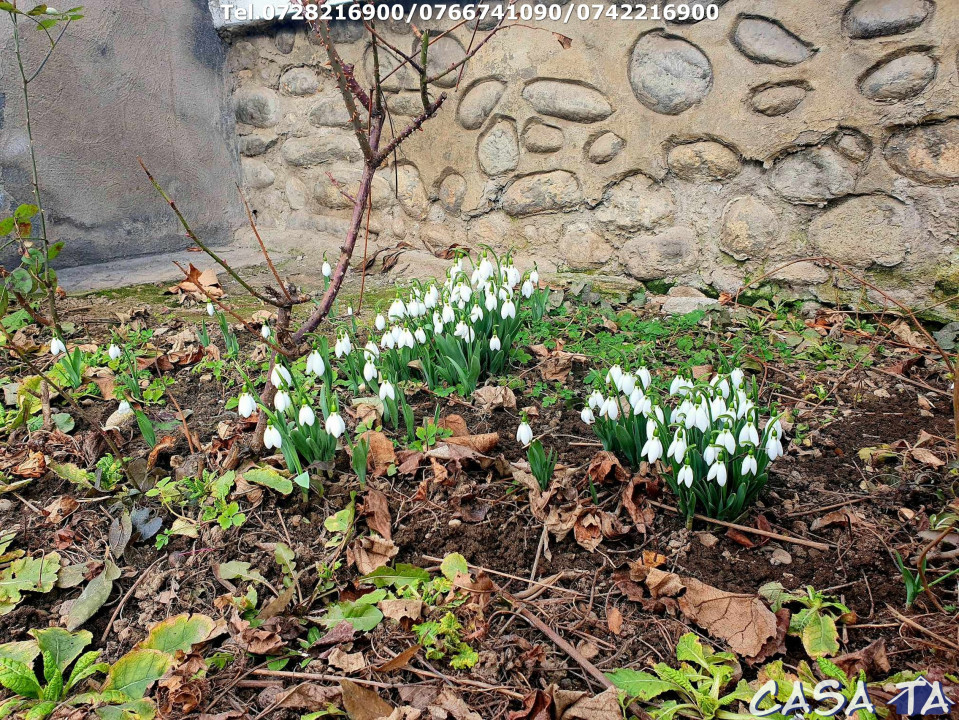 Casa, situata în Târgu Jiu, Str. Dobrogeanu Gherea 