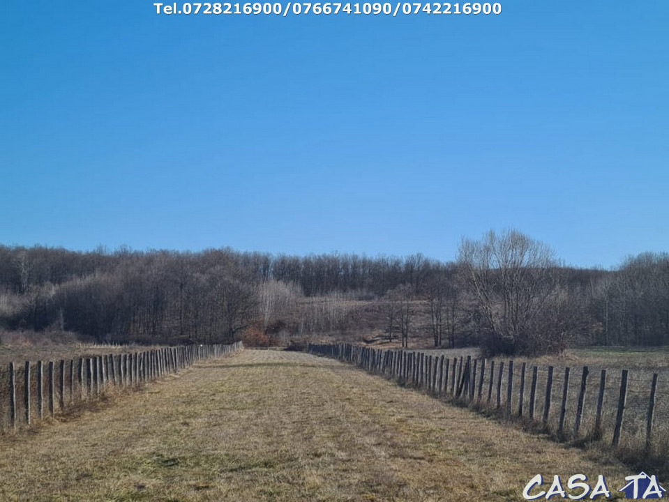  Casa D+P+1, situata în Curtisoara